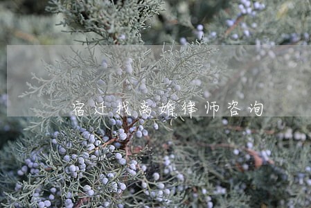 宿迁找离婚律师咨询 宿迁找离婚律师咨询