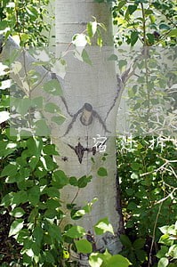 宿迁拆迁赔偿律师咨询 宿迁拆迁赔偿律师咨询