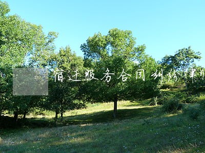 宿迁服务合同纠纷律师费 宿迁服务合同纠纷律师费