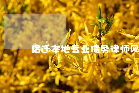 宿迁本地专业债务律师风险代理 宿迁本地专业债务律师风险代理