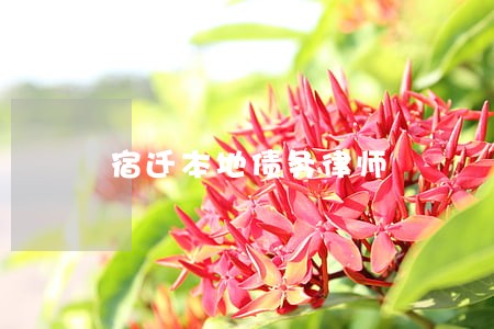 宿迁本地债务律师 宿迁本地债务律师
