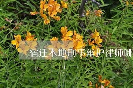 宿迁本地刑事辩护律师哪家强 宿迁本地刑事辩护律师哪家强