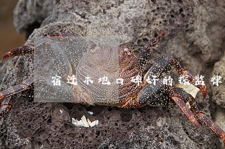 宿迁本地口碑好的探监律师