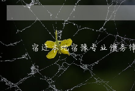 宿迁本地宿豫专业债务律师 宿迁本地宿豫专业债务律师