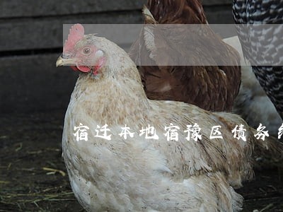 宿迁本地宿豫区债务纠纷律师 宿迁本地宿豫区债务纠纷律师