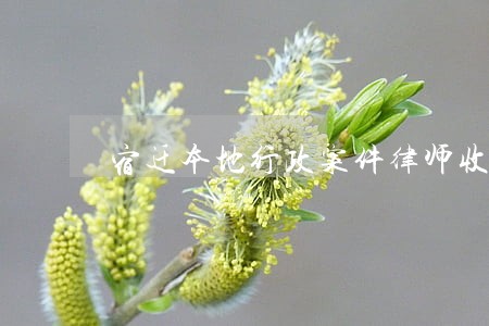 宿迁本地行政案件律师收费 宿迁本地行政案件律师收费