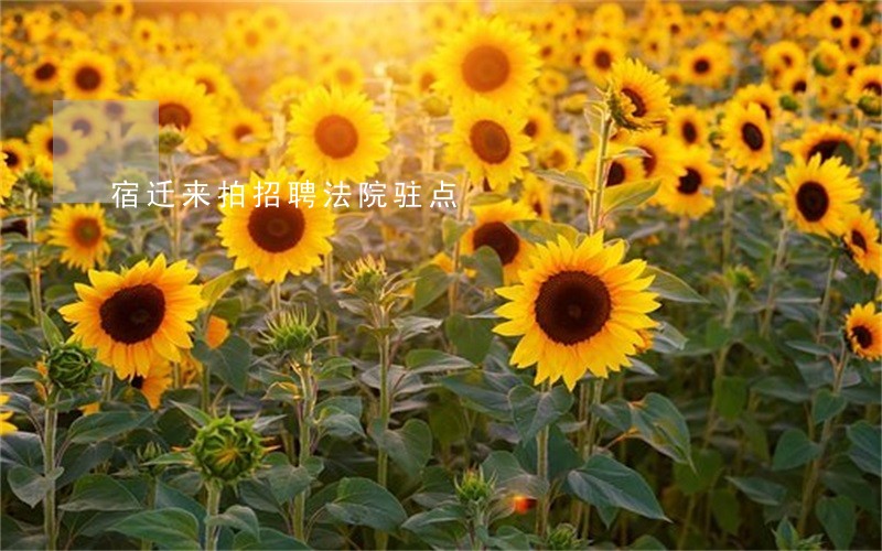 宿迁来拍招聘法院驻点 宿迁来拍招聘法院驻点
