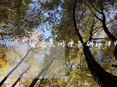 宿迁民间债务纠纷律师