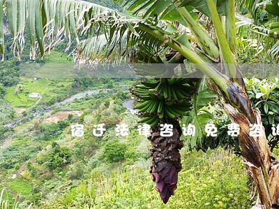 宿迁法律咨询免费咨询 宿迁法律咨询免费咨询