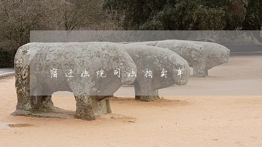 宿迁法院司法拍卖车