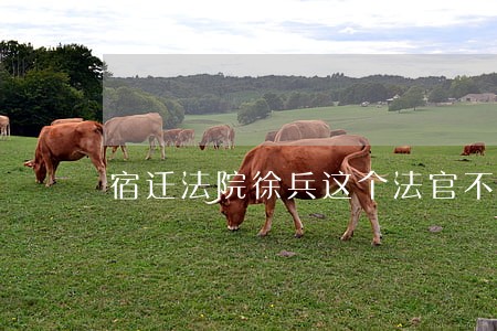 宿迁法院徐兵这个法官不是人 宿迁法院徐兵这个法官不是人