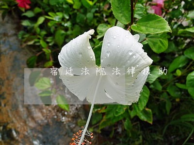 宿迁法院法律援助