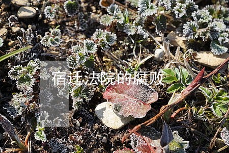 宿迁法院的腐败 宿迁法院的腐败