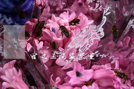 宿迁法院监察室 宿迁法院监察室