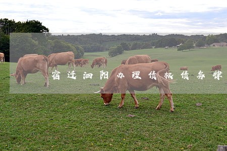 宿迁泗阳办理债权债务律师哪个好 宿迁泗阳办理债权债务律师哪个好