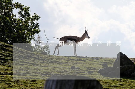 宿迁泗阳婚姻房产律师 宿迁泗阳婚姻房产律师