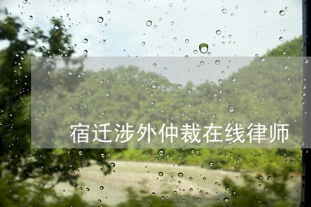 宿迁涉外仲裁在线律师