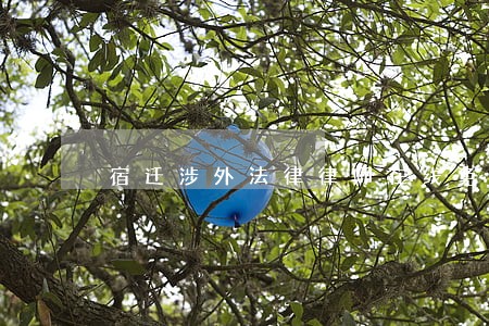 宿迁涉外法律律师在线免费咨询