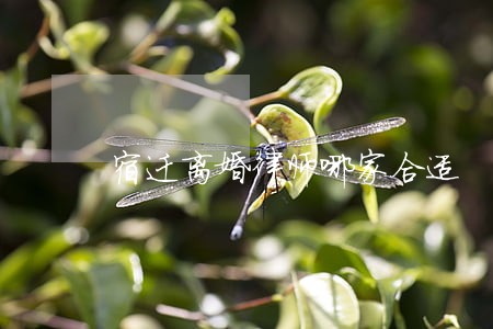 宿迁离婚律师哪家合适 宿迁离婚律师哪家合适