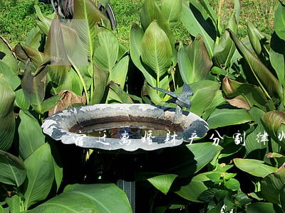 宿迁离婚财产分割律师哪个好