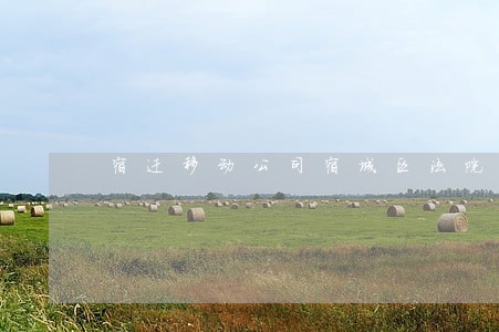宿迁移动公司宿城区法院点 宿迁移动公司宿城区法院点