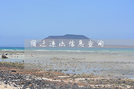 宿迁违法信息查询 宿迁违法信息查询