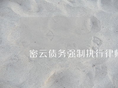 密云债务强制执行律师北京 密云债务强制执行律师北京