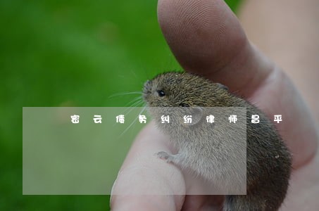 密云债务纠纷律师昌平 密云债务纠纷律师昌平