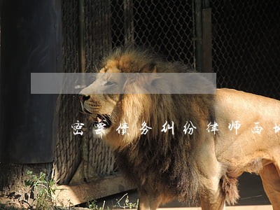 密云债务纠纷律师西城 密云债务纠纷律师西城