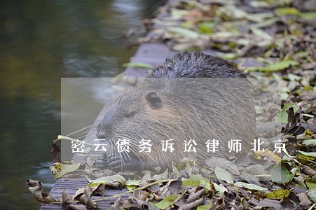 密云债务诉讼律师北京