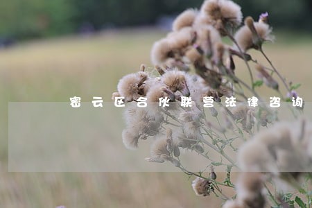 密云区合伙联营法律咨询热线