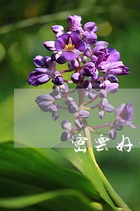 密云好的债务纠纷律师咨询 密云好的债务纠纷律师咨询
