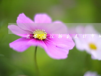 密云法院拍卖建材市场 密云法院拍卖建材市场