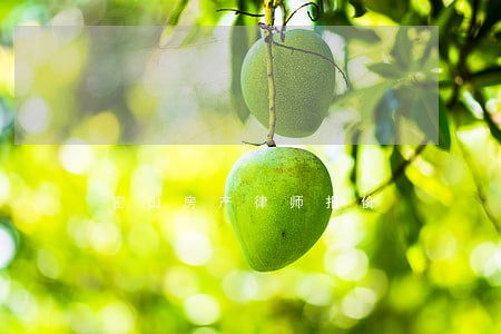 密山房产律师报价