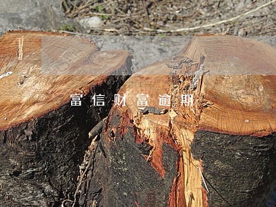 富信财富逾期 富信财富逾期