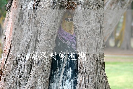 富垠财富逾期 富垠财富逾期