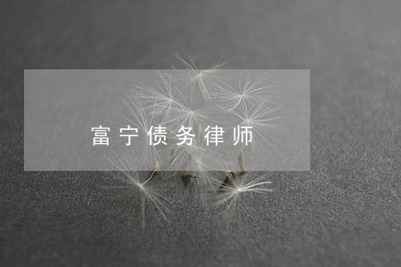 富宁债务律师 富宁债务律师