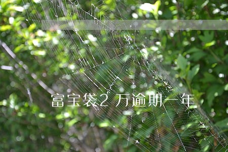 富宝袋2万逾期一年 富宝袋2万逾期一年