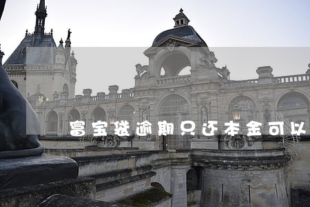 富宝袋逾期只还本金可以吗 富宝袋逾期只还本金可以吗