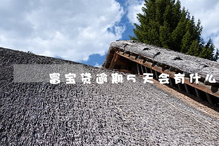 富宝贷逾期5天会有什么后果