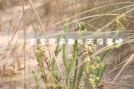 富宝贷逾期5天没事吧 富宝贷逾期5天没事吧