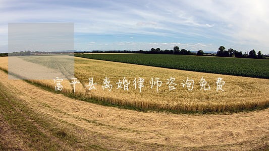 富平县离婚律师咨询免费 富平县离婚律师咨询免费