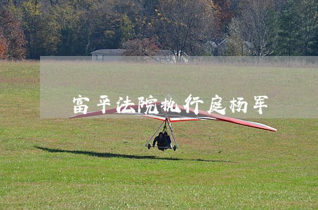 富平法院执行庭杨军