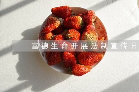 富德生命开展法制宣传日活动 富德生命开展法制宣传日活动