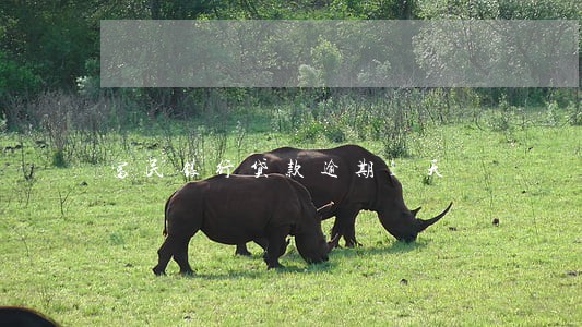 富民银行贷款逾期1天