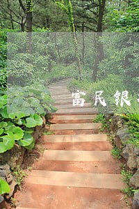 富民银行还款日逾期一天 富民银行还款日逾期一天
