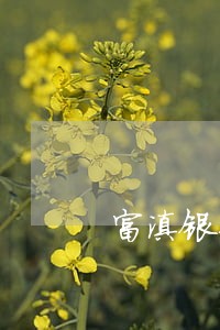 富滇银行几天逾期 富滇银行几天逾期