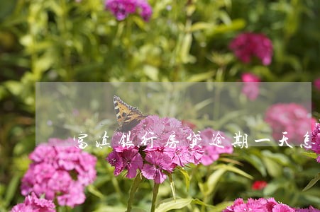 富滇银行房贷逾期一天怎么办 富滇银行房贷逾期一天怎么办