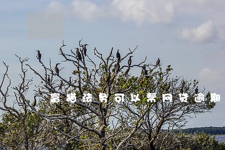 富猫法务可以帮网贷逾期 富猫法务可以帮网贷逾期