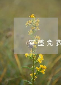 富盛免费合同审查律师多少钱 富盛免费合同审查律师多少钱